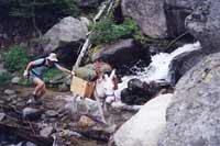 john chamberlain and sid, montana
