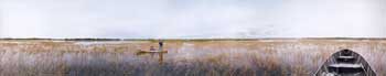 wild rice in the rice beds of Leech Lake